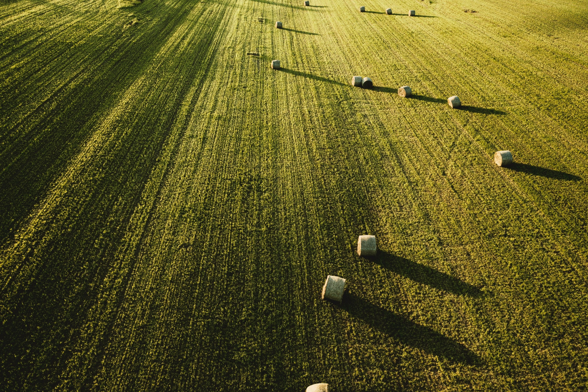 eAfoBy - Enhancement of Agro Food Chain Byproducts through Innovative and Sustainable Methods