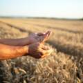 Innovative Methods for Agro Food Chain Byproducts Enhancement