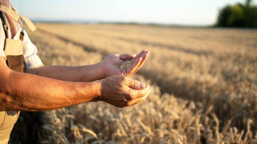 eAfoBy - Enhancement of Agro Food Chain Byproducts through Innovative and Sustainable Methods