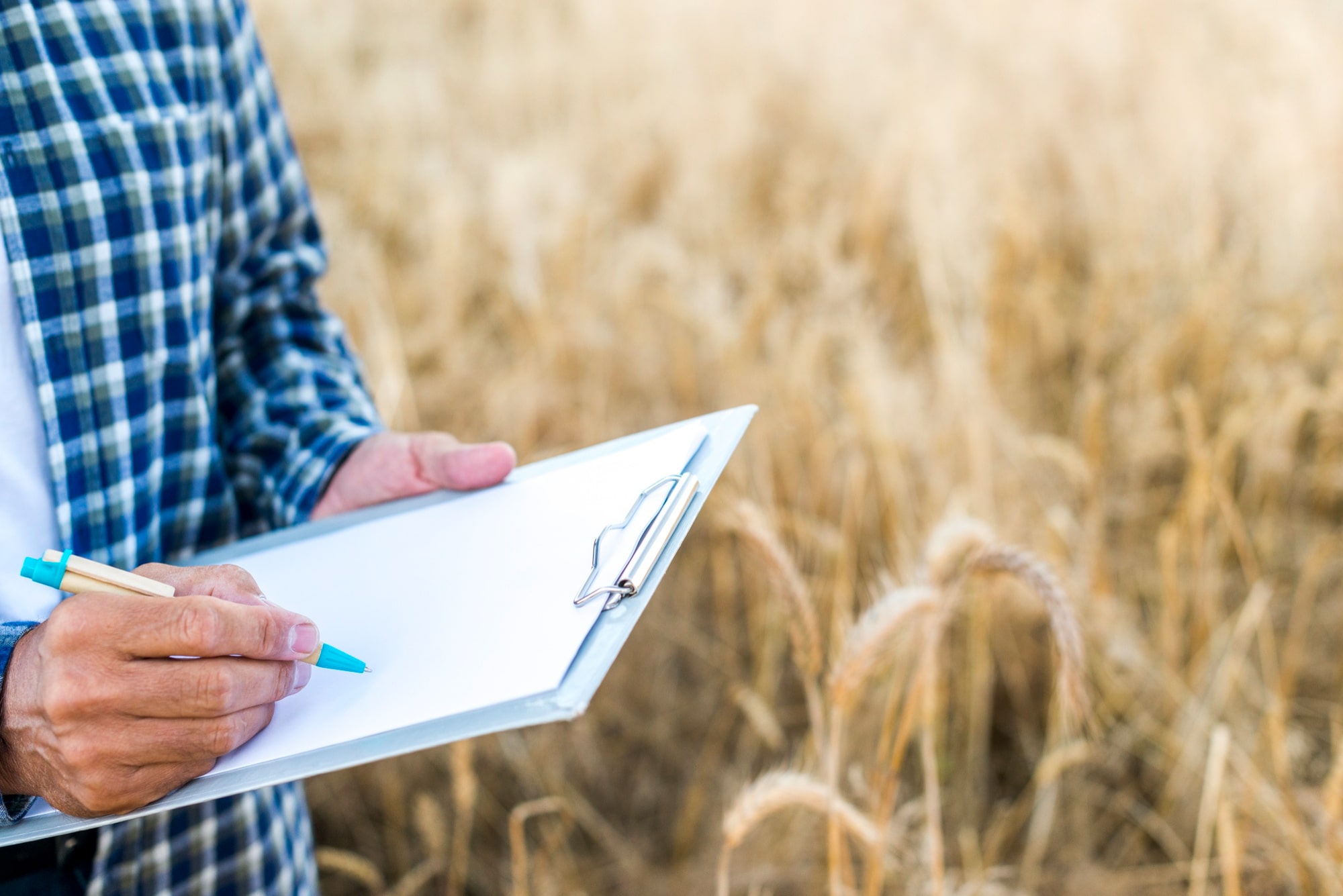eAfoBy - Enhancement of Agro Food Chain Byproducts through Innovative and Sustainable Methods