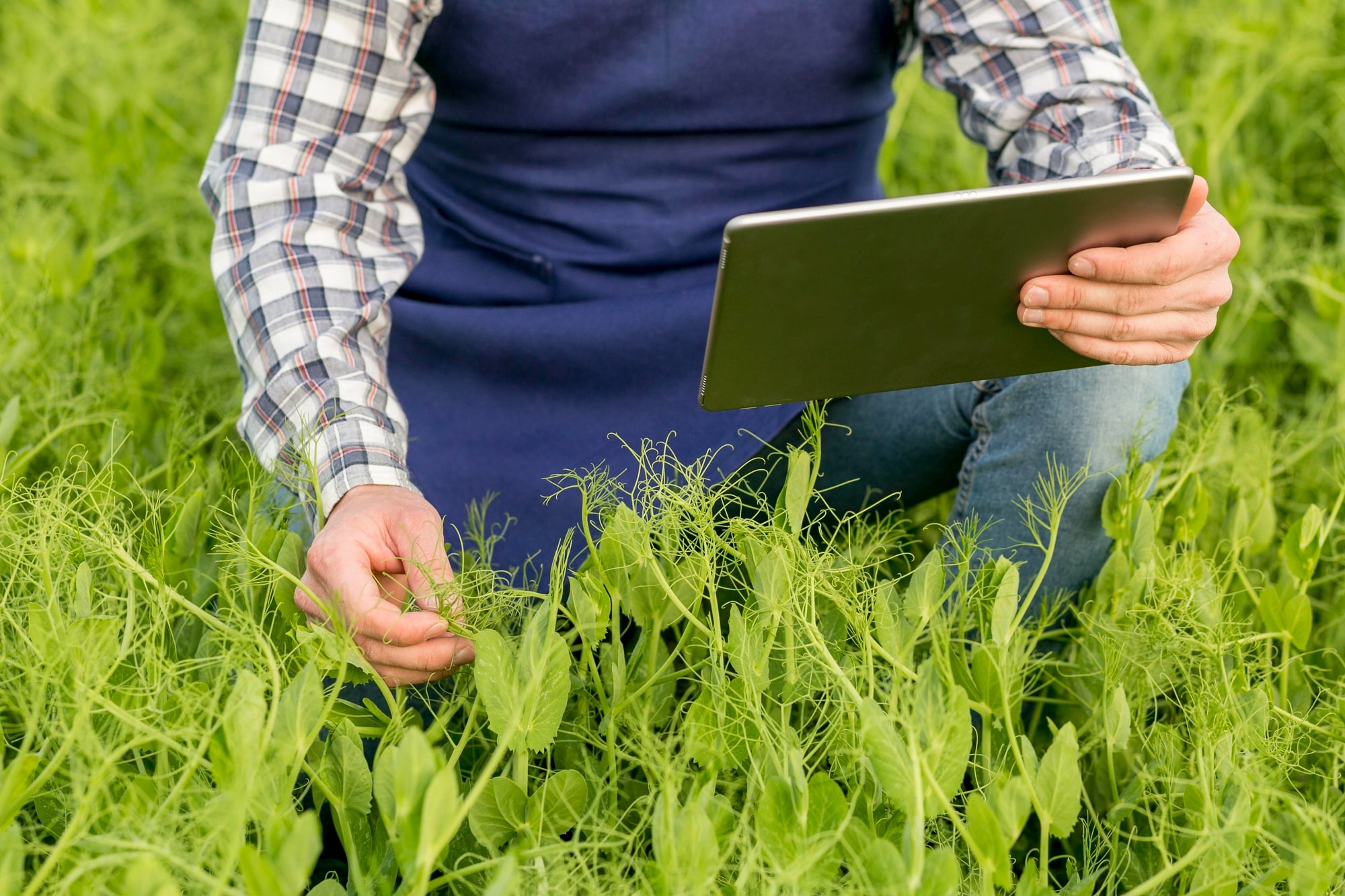 eAfoBy - Enhancement of Agro Food Chain Byproducts through Innovative and Sustainable Methods