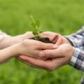 Sustainable Approaches for Agro Food Chain Byproducts Improvement