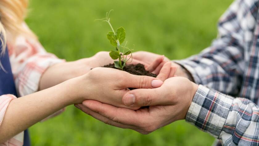 eAfoBy - Enhancement of Agro Food Chain Byproducts through Innovative and Sustainable Methods
