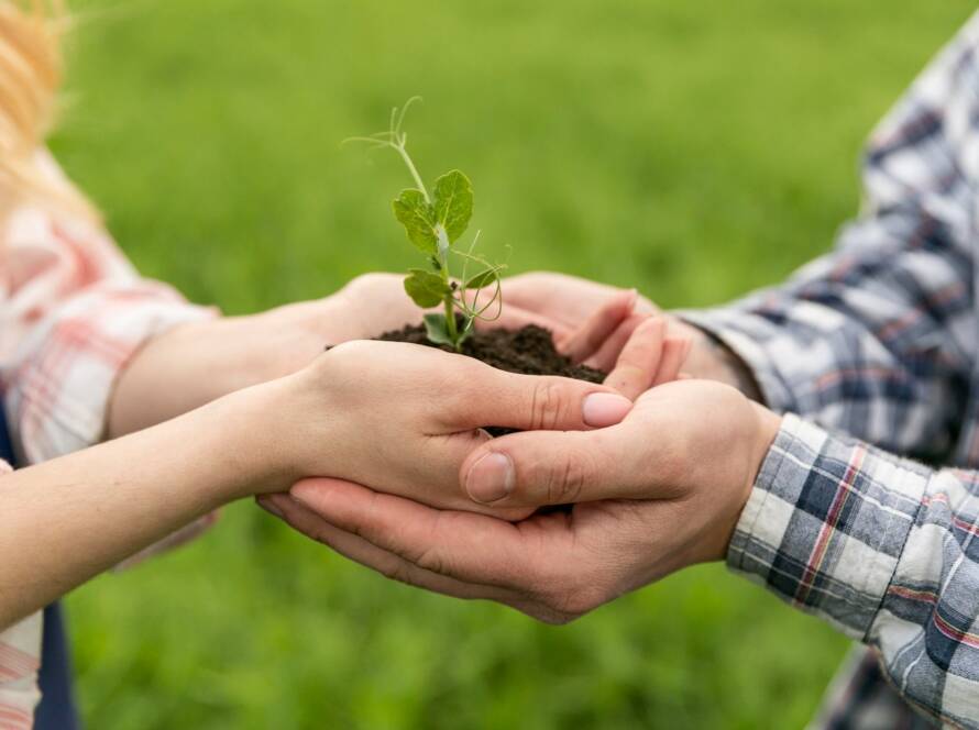 eAfoBy - Enhancement of Agro Food Chain Byproducts through Innovative and Sustainable Methods