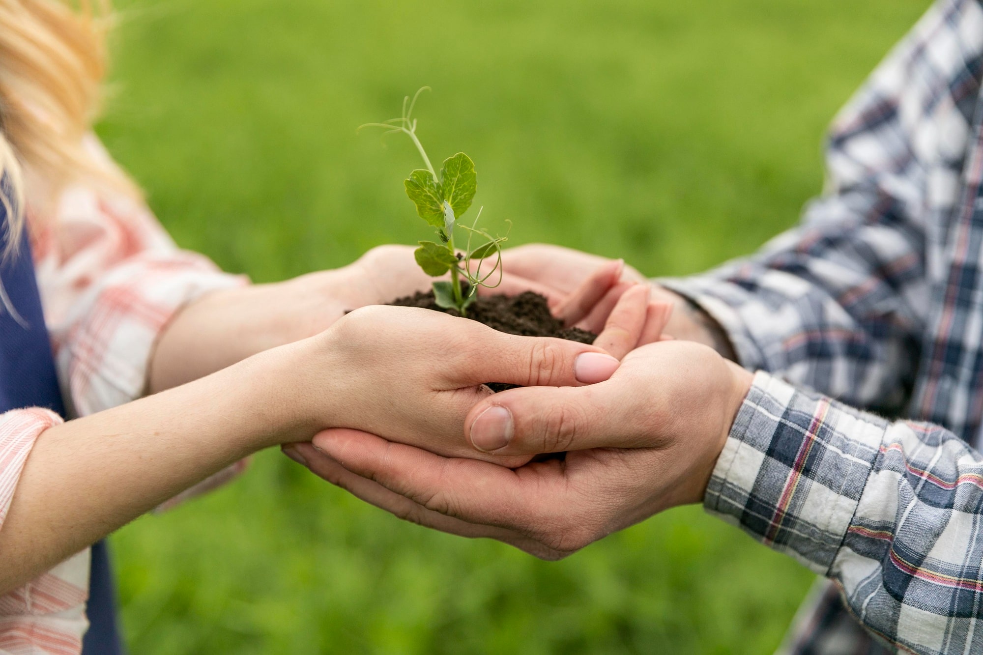 eAfoBy - Enhancement of Agro Food Chain Byproducts through Innovative and Sustainable Methods