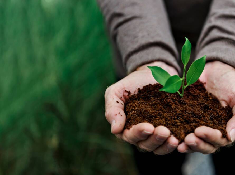 eAfoBy - Enhancement of Agro Food Chain Byproducts through Innovative and Sustainable Methods