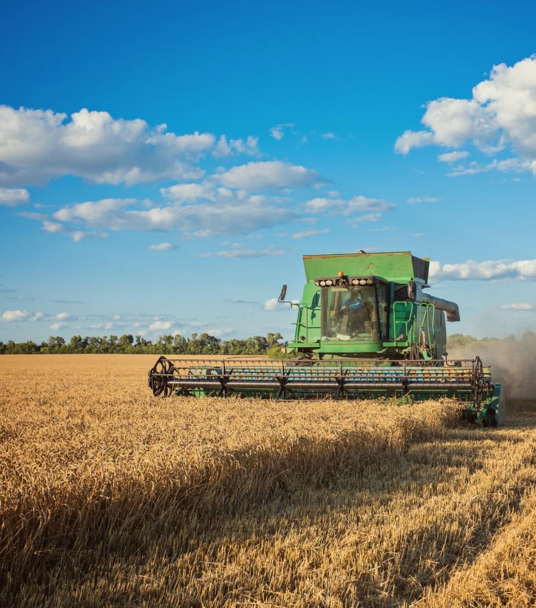 eAfoBy - Enhancement of Agro Food Chain Byproducts through Innovative and Sustainable Methods