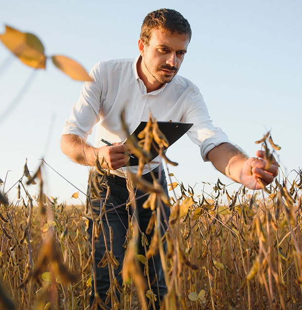eAfoBy - Enhancement of Agro Food Chain Byproducts through Innovative and Sustainable Methods