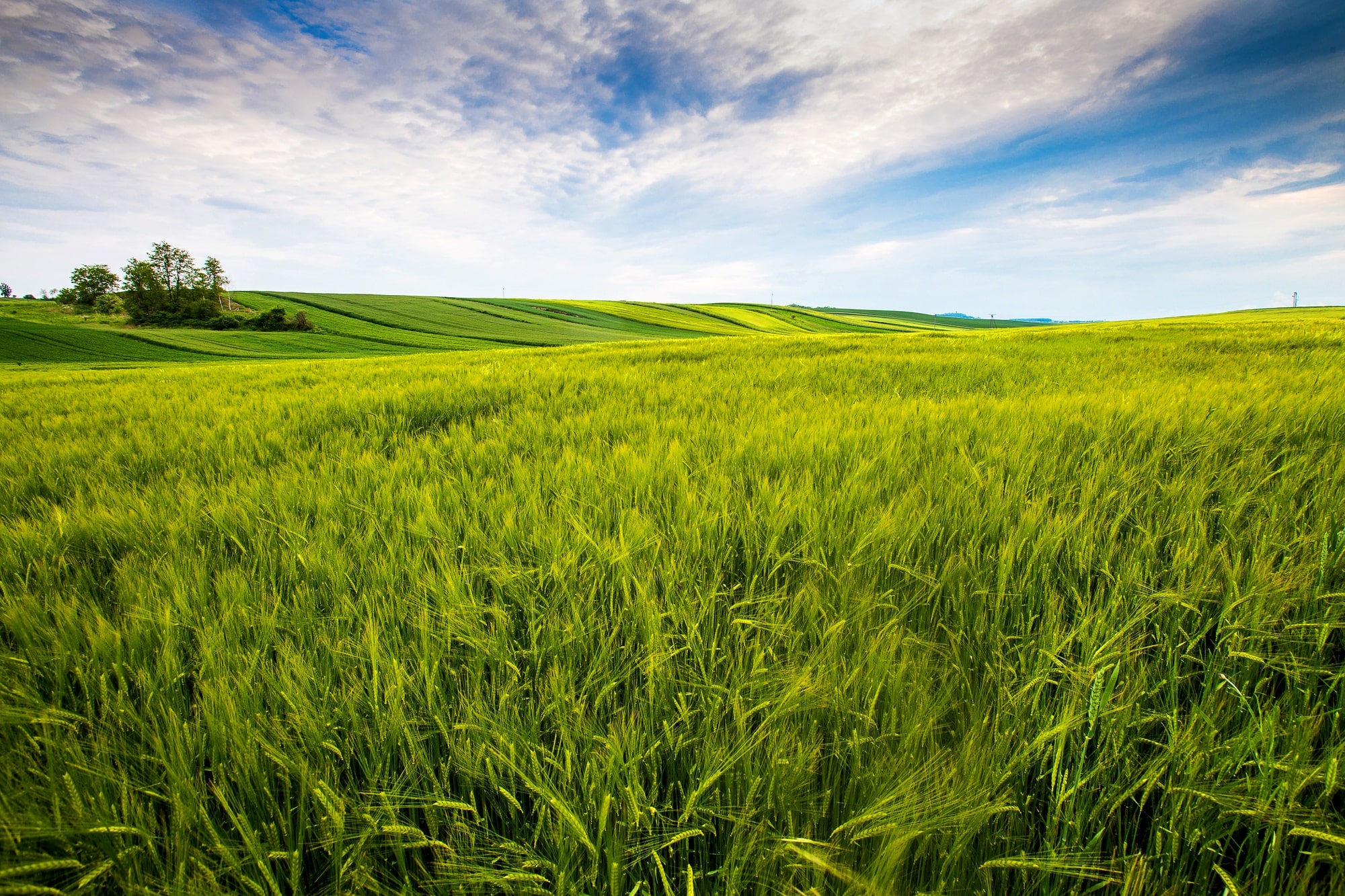 eAfoBy - Enhancement of Agro Food Chain Byproducts through Innovative and Sustainable Methods