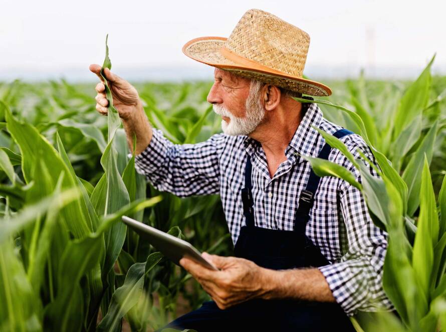 eAfoBy - Enhancement of Agro Food Chain Byproducts through Innovative and Sustainable Methods